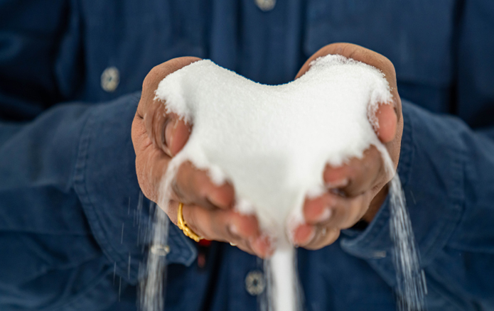  PURIFIED Food Grade Salt (SODIUM CHLORIDE)